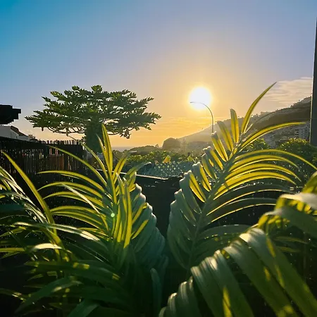 Golden Sun * Mogán